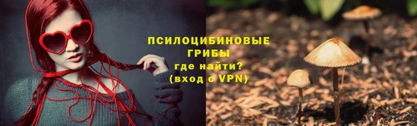 винт Арсеньев