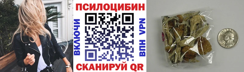 Псилоцибиновые грибы Psilocybine cubensis  Белёв 